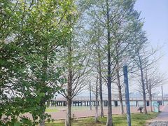 -苏州东太湖生态园