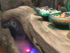 -老湘亲·品鉴湘菜(湖里店)