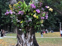 -人民公园(罗湖区)