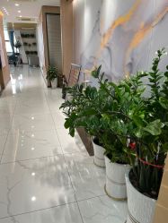 -广州萨谛艾扬格瑜伽中心