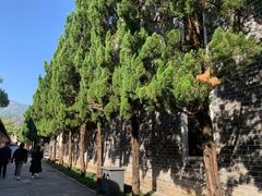 -南岳衡山风景名胜区-南岳大庙