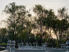 -莲湖公园