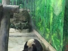 -灵玲国际马戏城