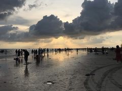 -北海金海湾红树林生态旅游区