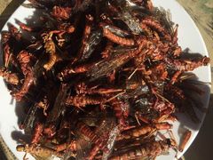 -北京龙庆四季香农家饭庄·灶台鱼·碳烤虹鳟鱼(龙庆峡店)