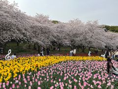 -苏州上方山国家森林公园