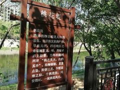 -桃花堤公园