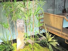 -绿茶餐厅(淮安吾悦广场店)