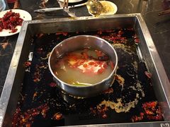 -红鼎坊·老成都火锅(新南门店)