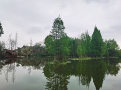 -桤木河湿地公园