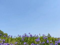 -白鹭湾湿地公园