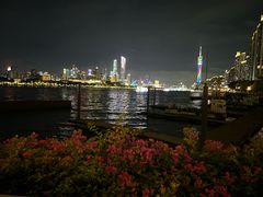 -珠江夜游广州塔·中大码头