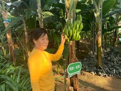 -长春农业博览园