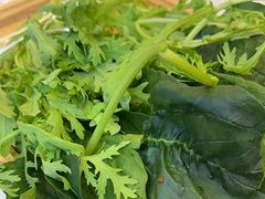 -蝎王府羊蝎子(北大地店)