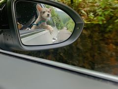 -武陵山森林公园