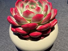 -喜湘宴·精致湖南菜(和平西桥店)