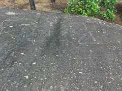 -火炉山森林公园