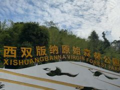 -西双版纳原始森林公园