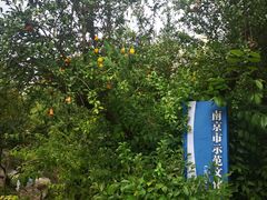 -郑和公园