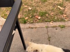 -昆承湖酒家·本帮农家菜