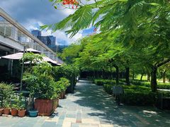 -三妹小龙虾·黄油蟹(华侨城总店)