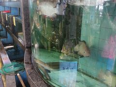 -新金盛·海鲜酒楼(盐田店)