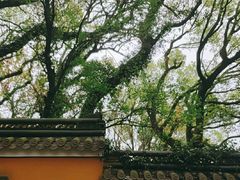 -普陀山风景名胜区-法雨禅寺