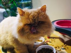 -小时光咖啡馆(开森度假森林店)