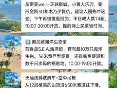 -圣淘沙天际线斜坡滑车