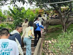 -桃源山庄·水蜜桃采摘·柴火鸡·烧烤团建(龙泉山店)