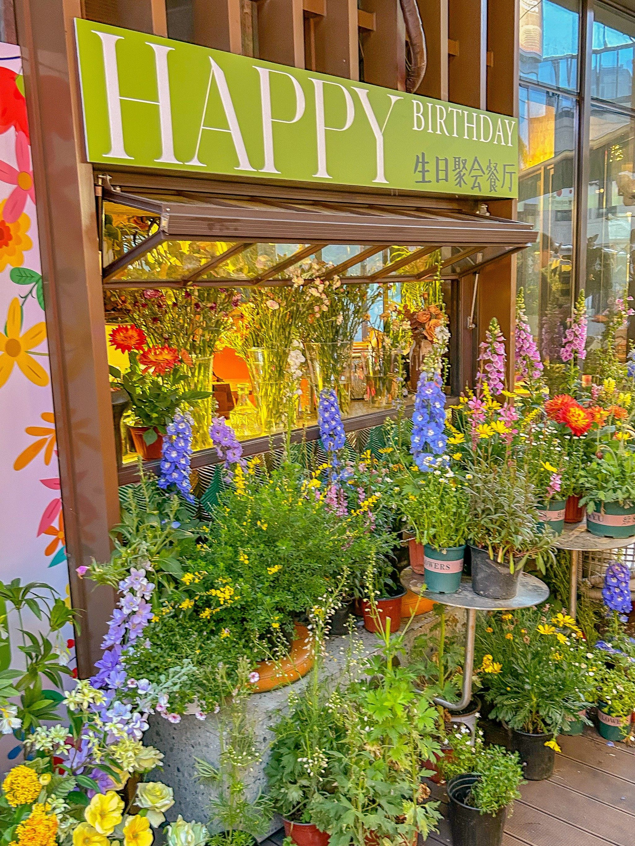 莫奈花园之窗!美哭了