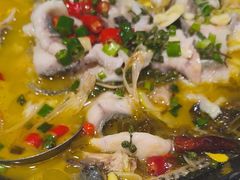 -金三可市井水煮鱼(金碧园店)