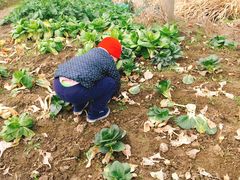 -乡乐园蟹庄·阳澄湖农家乐