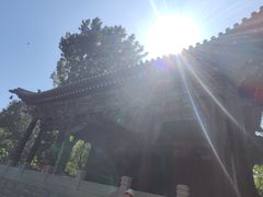 -晋祠公园