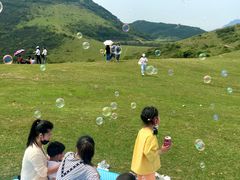-大姆山草场