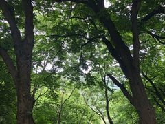 -青州仰天山