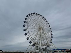 -秦皇岛乐岛海洋王国