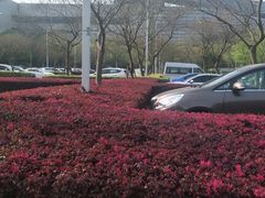 -虹桥国际机场-2号航站楼停车场