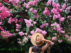 -杭州城北体育公园