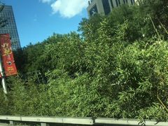 -中央广播电视总台(光华路办公区)