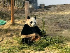 -杭州野生动物世界