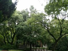 -汇龙潭