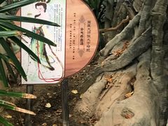 -龙达温泉生态城