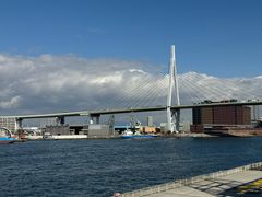 -大阪海游馆