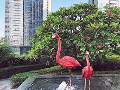 -珠海中海雅高铂尔曼酒店