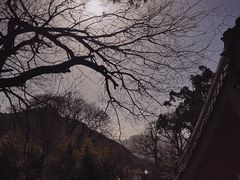 -潭柘寺景区