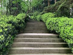 -南山植物园