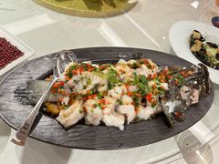 -五号茶居·新派粤菜·岭南五号酒店(沿江中路店)