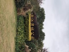 -新江湾城公园