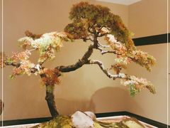 -湘上湘(米其林餐厅-正大中心总店)